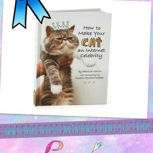 How to Make Your Cat an Internet Celebrity Gift Bo